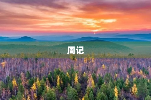 周记