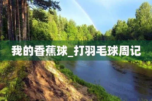 我的香蕉球_打羽毛球周记 我的香蕉球_打羽毛球周记