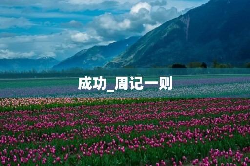 成功_周记一则 成功_周记一则