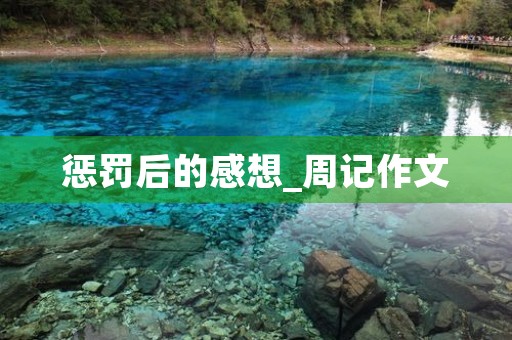 惩罚后的感想_周记作文