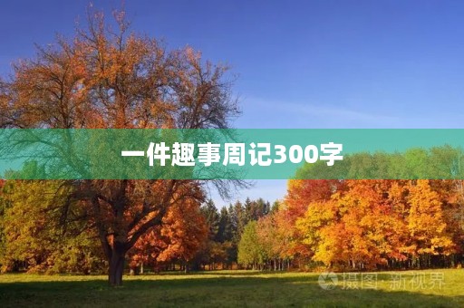 一件趣事周记300字