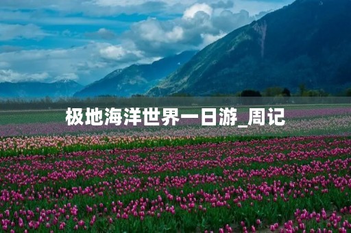 极地海洋世界一日游_周记 极地海洋世界一日游_周记