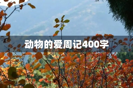 动物的爱周记400字 动物的爱周记400字