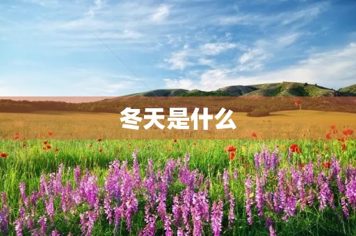 冬天是什么