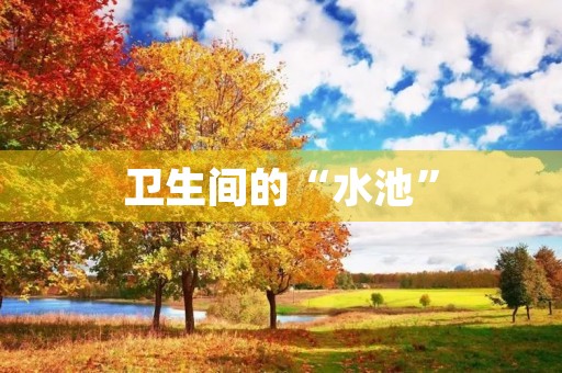 卫生间的“水池” 卫生间的“水池”