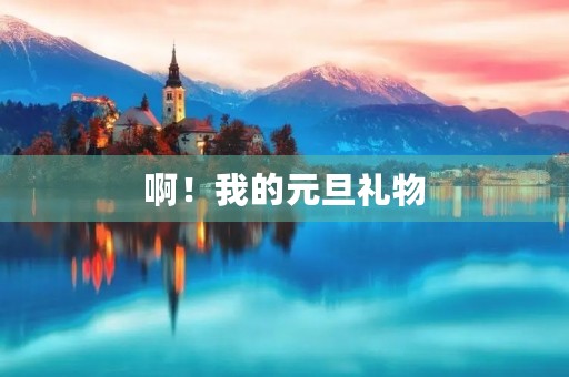 啊！我的元旦礼物
