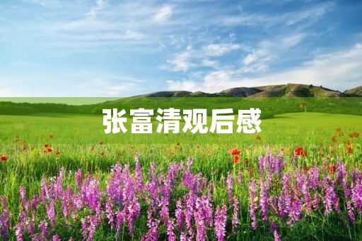 张富清观后感
