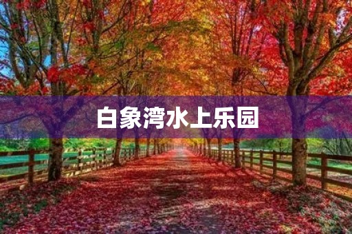 白象湾水上乐园 白象湾水上乐园