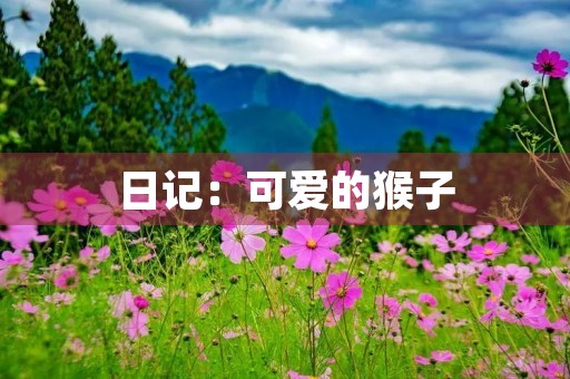 日记:可爱的猴子 日记:可爱的猴子
