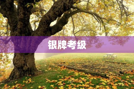 银牌考级 银牌考级