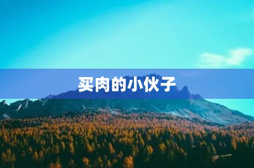 买肉的小伙子 买肉的小伙子