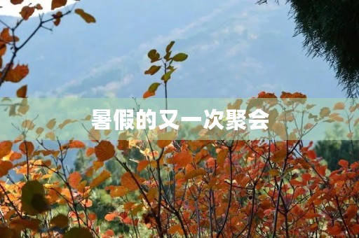 暑假的又一次聚会 暑假的又一次聚会