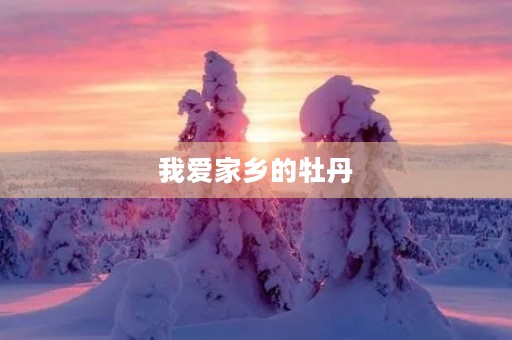 我爱家乡的牡丹 我爱家乡的牡丹