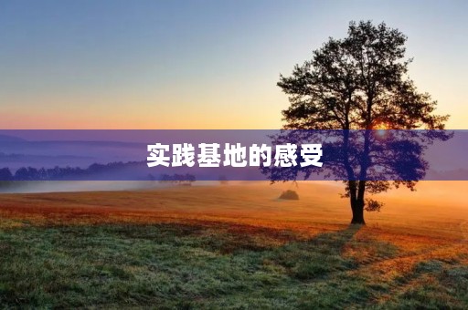 实践基地的感受
