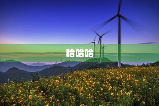 哈哈哈 哈哈哈