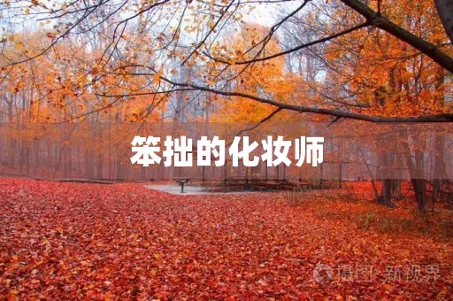 笨拙的化妆师 笨拙的化妆师