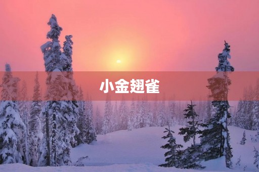 小金翅雀 小金翅雀