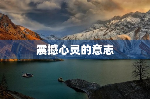 震撼心灵的意志