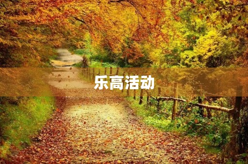 乐高活动 乐高活动