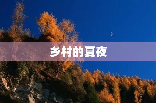 乡村的夏夜 乡村的夏夜