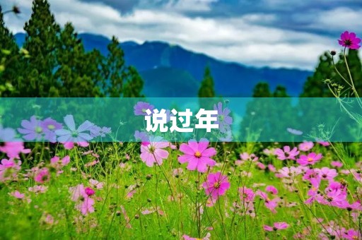 说过年 说过年