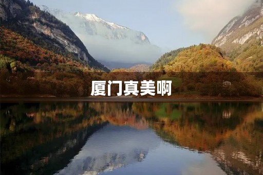 厦门真美啊 厦门真美啊