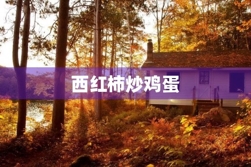 西红柿炒鸡蛋 西红柿炒鸡蛋