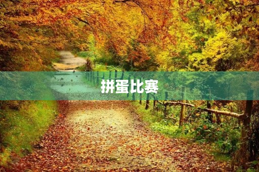 拼蛋比赛 拼蛋比赛