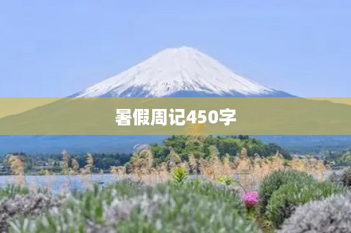 暑假周记450字 暑假周记450字