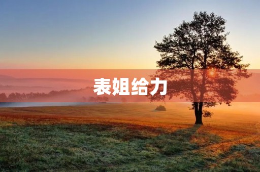 表姐给力