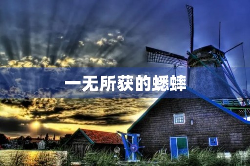 一无所获的蟋蟀 一无所获的蟋蟀
