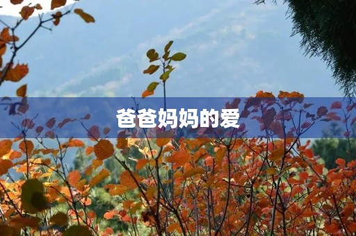 爸爸妈妈的爱
