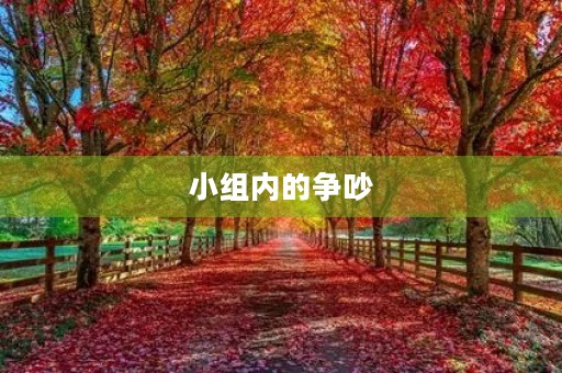 小组内的争吵 小组内的争吵