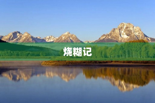 烧糊记 烧糊记