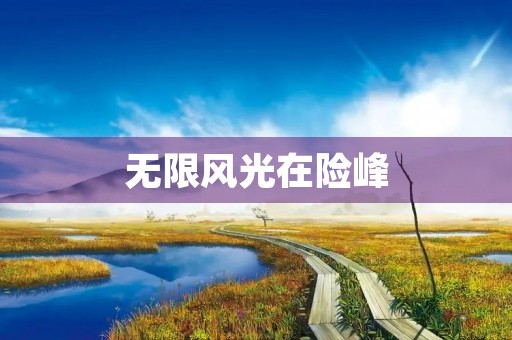 无限风光在险峰 无限风光在险峰