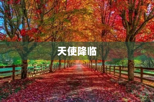 天使降临 天使降临