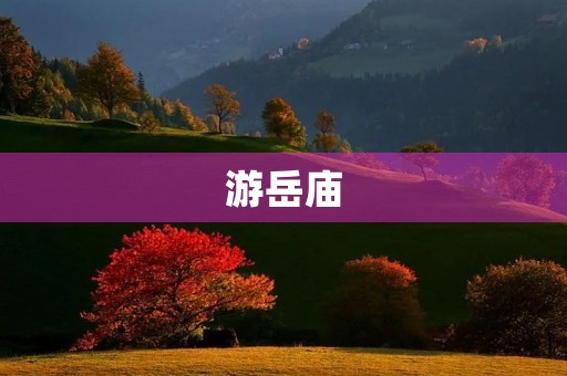 游岳庙 游岳庙