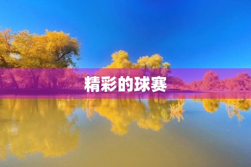 精彩的球赛 精彩的球赛