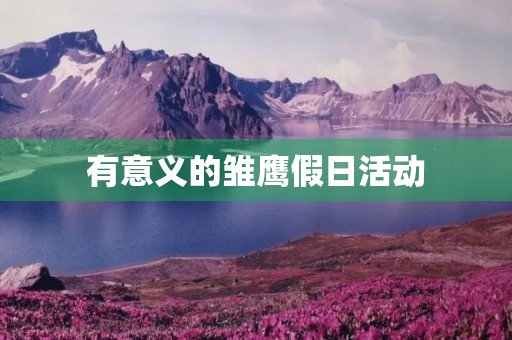 有意义的雏鹰假日活动 有意义的雏鹰假日活动