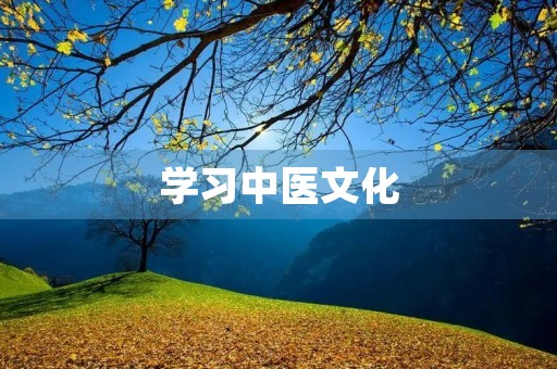 学习中医文化 学习中医文化