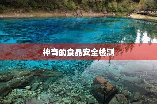 神奇的食品安全检测
