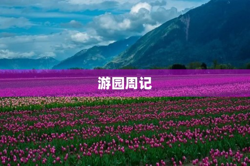 游园周记 游园周记