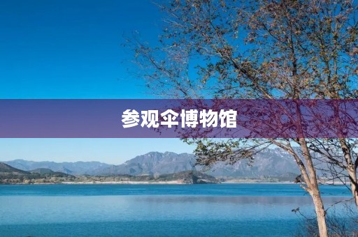 参观伞博物馆 参观伞博物馆