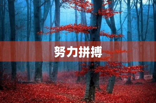 努力拼搏