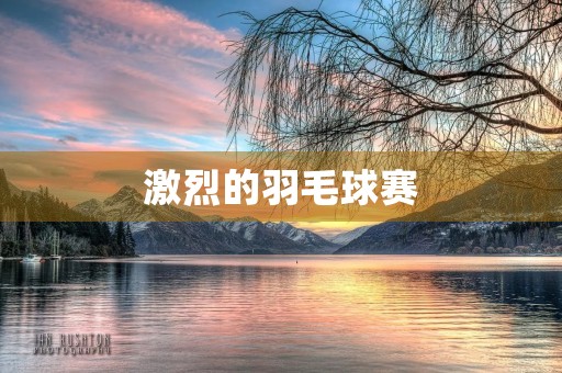 激烈的羽毛球赛