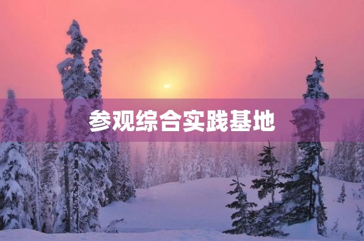 参观综合实践基地 参观综合实践基地