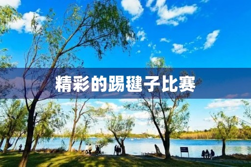 精彩的踢毽子比赛 精彩的踢毽子比赛