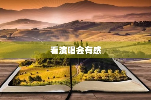 看演唱会有感 看演唱会有感