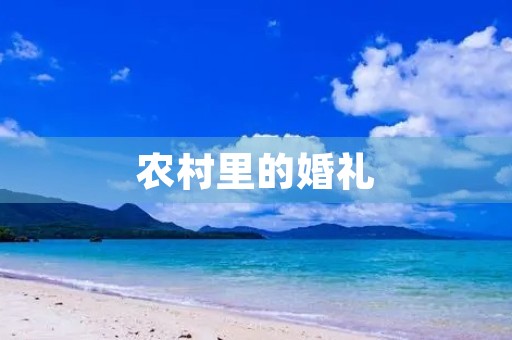 农村里的婚礼 农村里的婚礼