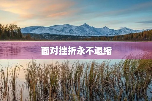 面对挫折永不退缩 面对挫折永不退缩